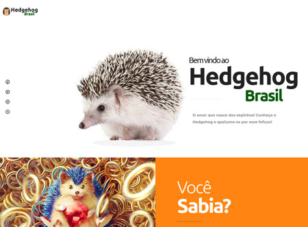 Hedgehog Brasil